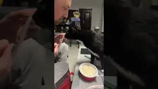 🤣Это пиздец…🤣