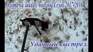 Охота на зайца с подхода.Сезон зима 2017-2018.Удачный выстрел.