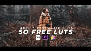 Free Luts Pack VN Editor || Colour Grading In Mobile (VN Editor)