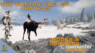The Hunter Call of the Wild: Mega Moose hunt on MedVed Taiga