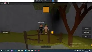 COLOR CAZE \ ROBLOX \ С Дашей