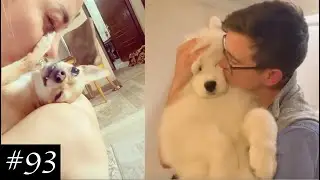 Kiss The Dog Or The Dog Will Kiss You! Funny Challenge