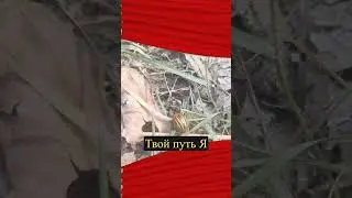 счастливый путь зависит только 