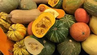 What's Hot in the Cooler - Winter Squash