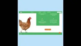 Сайт - визитка по продаже кур-несушек