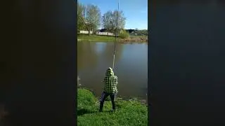 Юный карпятник