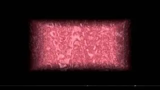 UNIVERS OBSKUR : oscillations mécaniques  de la résonance.