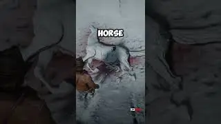 4 Secrets you MISSED in Red Dead Redemption 2