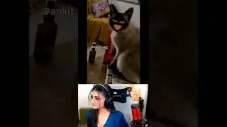 Le madar ** / payal gaming reaction funny video 🤣 / Payal gaming / Omegle #shorts