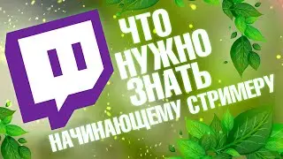 Всё, что нужно знать начинающему стримеру на твиче (и не только)