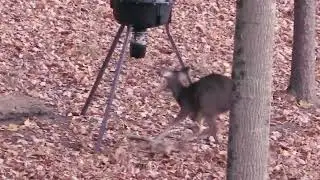 Hammer Down!