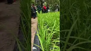 Laboratorium PT. NASA Bidang Pertanian