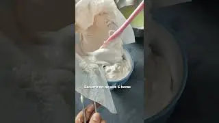 YOGURT CON 2 INGREDIENTES