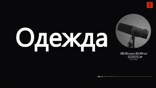 Одежда