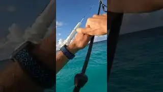 Reminiscing of Some Caribbean Kiteboarding in the Winter #gopro #kiteboard #shorts