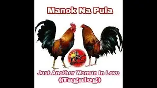 Manok Na Pula - (Original Singer) - Jomar Torillo Vs Vic. Desucatan