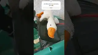 бесконечные гуси😶
