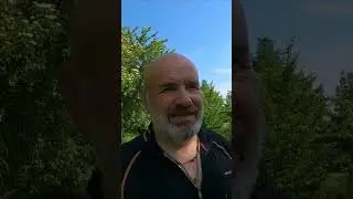 Шакалы  #велопутешестия