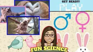 Animals Reproduction-How Mammals Reproduce/Types of Mammals