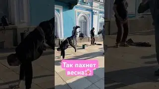 Бомжи танцуют значит в Питере солнце 