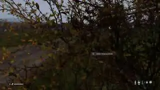 DAYZ CHILL STREAM. Come say hello