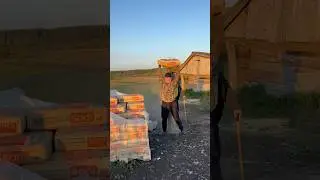 Дед пошутил над батей😂 