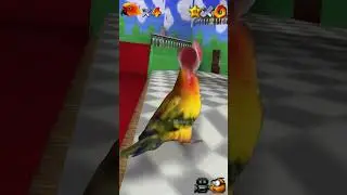 super birb 64 #meme