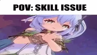 This video is filled of skill issues
