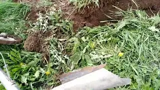 Вспашка огорода мотолебедкой в одно лицо