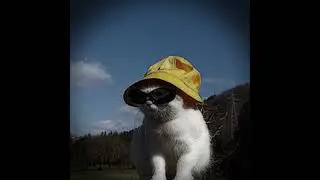 видео не по теме акка 😅,но это шедевр 😻♥️