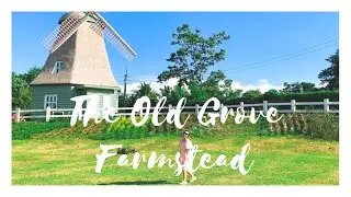 The Old Grove Farmstead | Lipa, Batangas