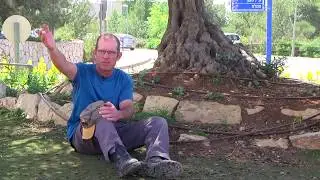 לא נפסיק לחלום עשיה ציונית