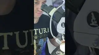 МУКА ПОД МИКРОСКОПОМ