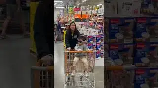 Logan