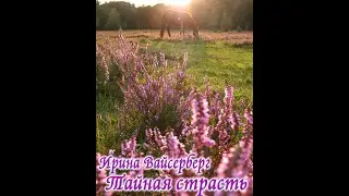 Тайная страсть