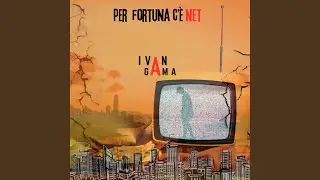 Per fortuna c'è NET
