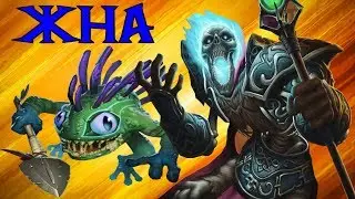 Прошли Жизнь на Арене за имбового Мага
