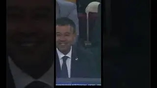 Кот на футбольном поле