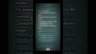 Mercy- Shawn Mendes (lyrics cover) #lyricsvideo #spotifyplaylist #shawnmendes #edit #trendingshorts