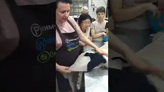 Семинар для технологов химчистки.