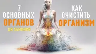 Семь основных органов организма. Как очистить органы человека.