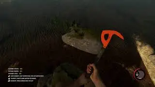 WTH IS THIS