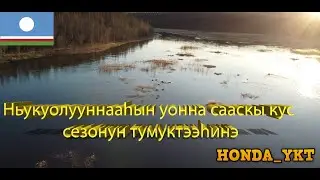 Ньукуолуун кун уонна сааскы кус сезонун тумуктээhинэ.