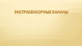 31 Каналы воприятия информации КЗк