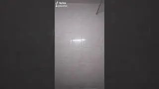 Тик ток . Даги ежжи
