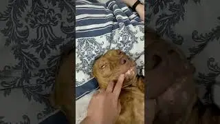 😂