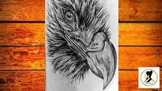 Eagle pencil drawing easy