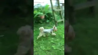 Как же ей хорошо без нас😄 Отдыхает