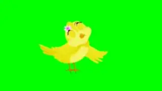yolo tuni chidiya / green screen Tony chidiya / tuni chidiya multiple pose / no copyright Tony chi