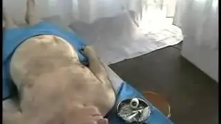 морг, так становятся заиками